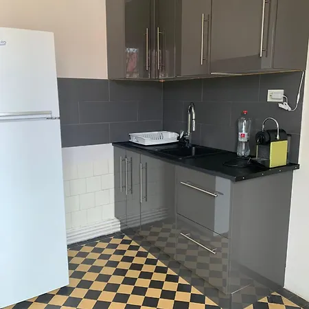 Arghezi 4 Vintage Luxury Apartment Bukarest